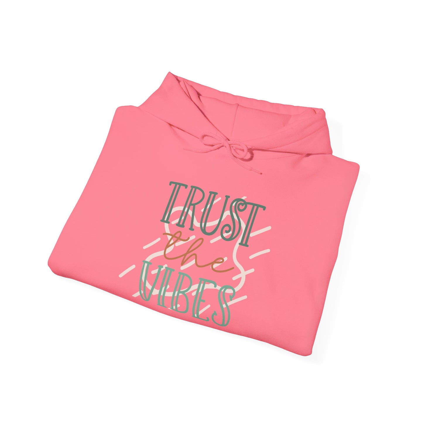 Trust the Vibes Hoodie