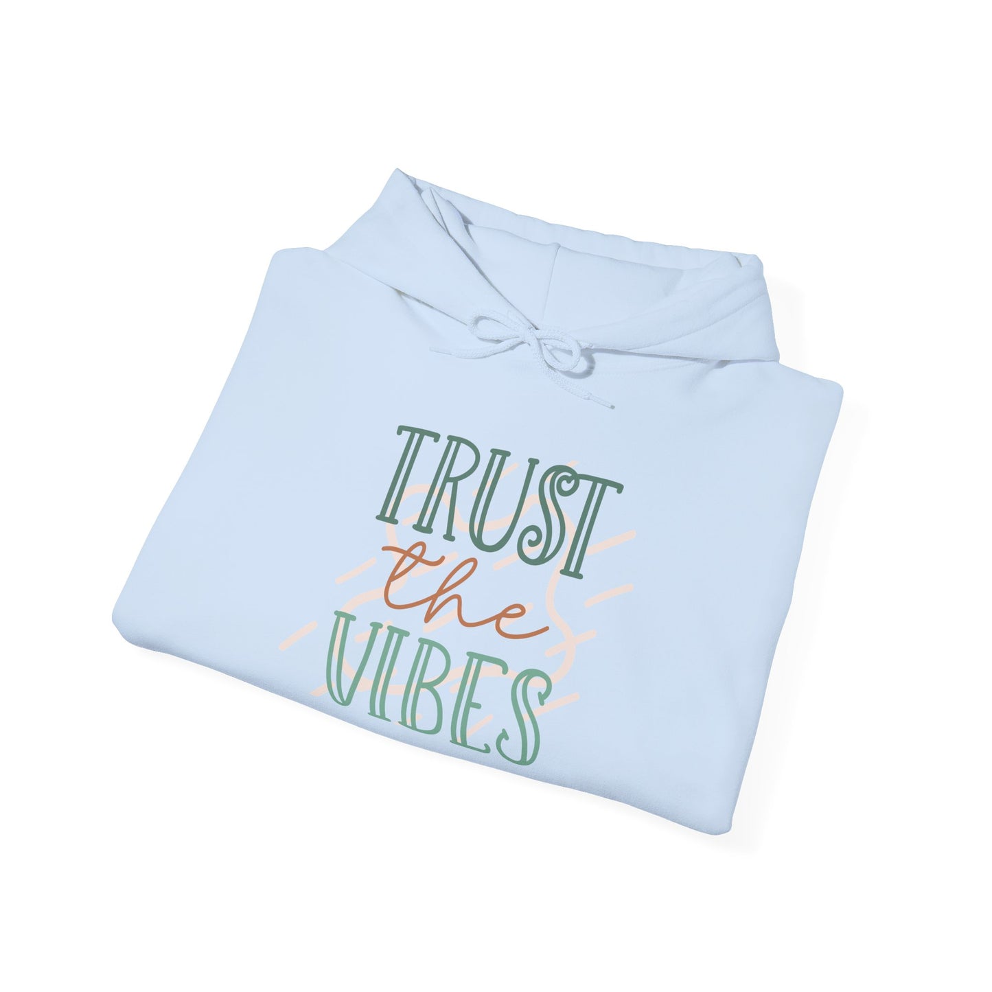 Trust the Vibes Hoodie